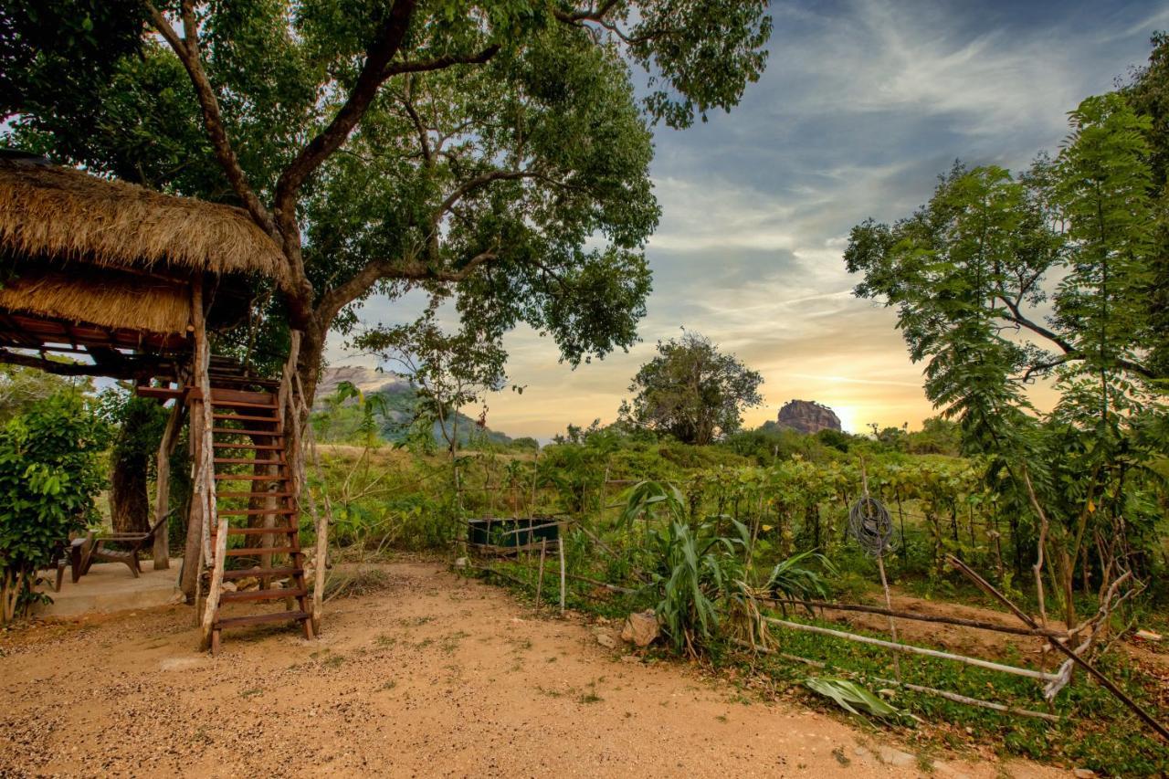 Sigiriya King'S Resort Exterior foto
